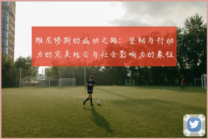 维尼修斯的成功之路：坚韧与行动力的完美结合与社会影响力的象征