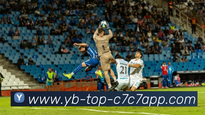 C7C7娱乐服务体系